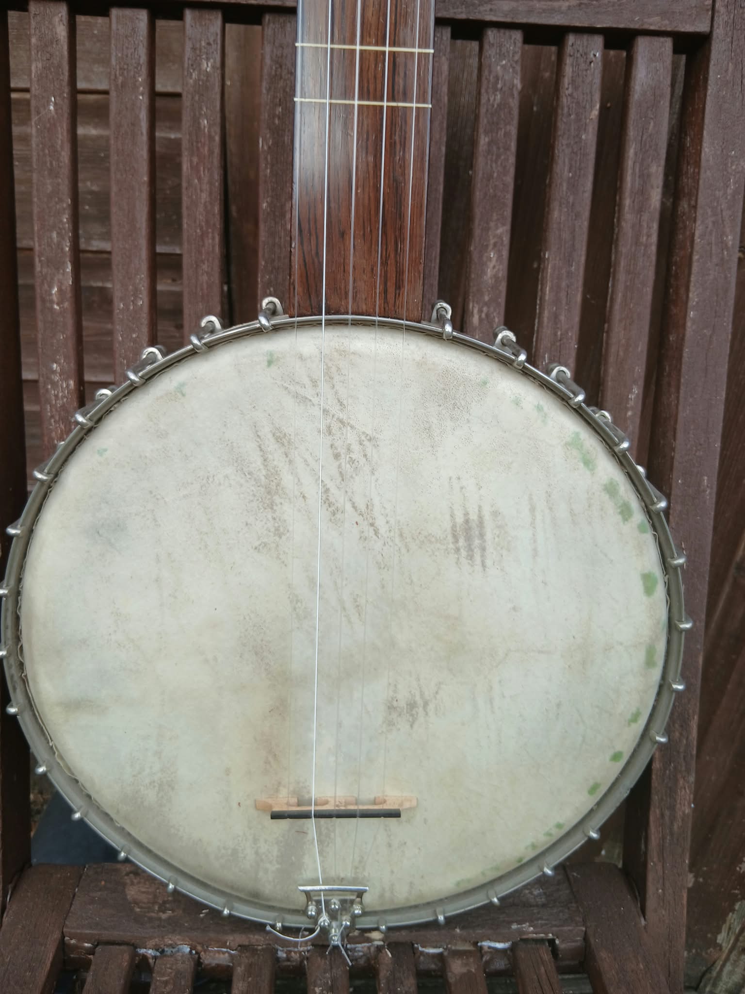 T.W.Bacon Flush-Fret 5-String Banjo