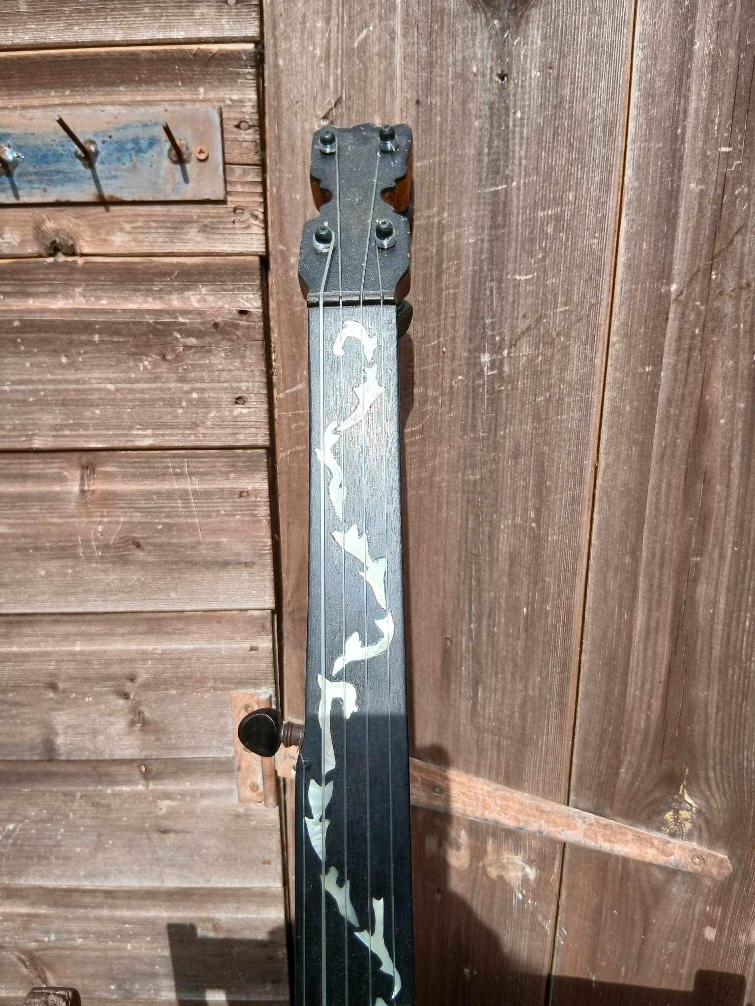 Etherington Haymarket Fretless Banjo