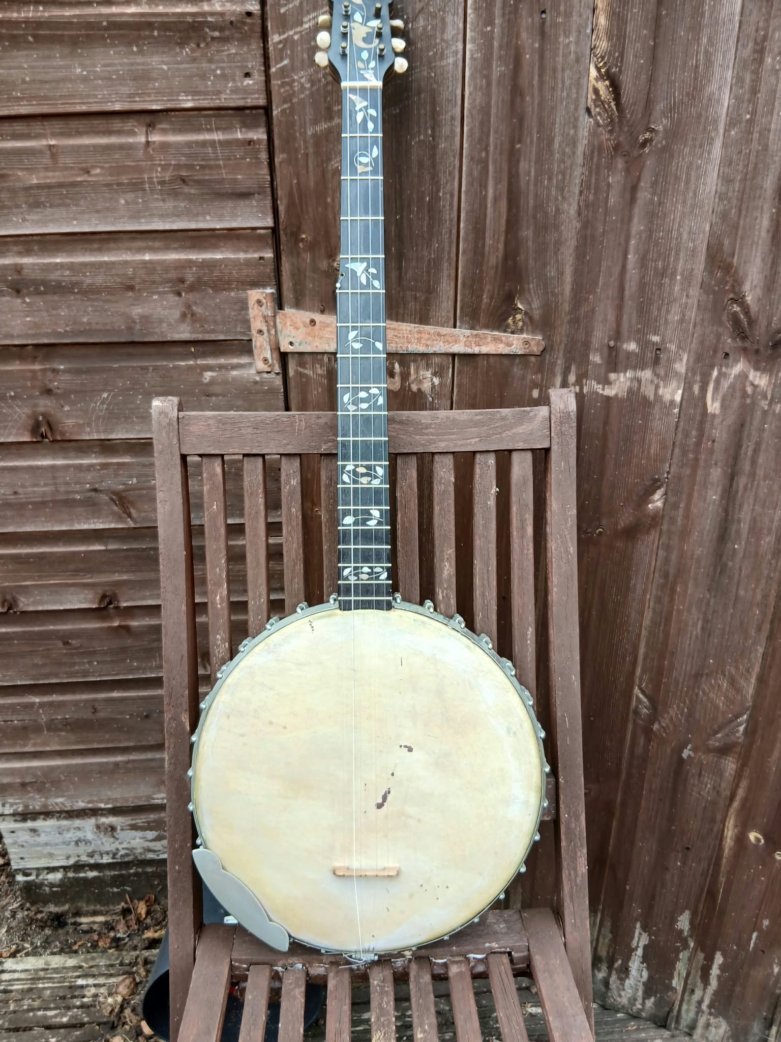 Walter Taylor Liverpool 5‑String Banjo