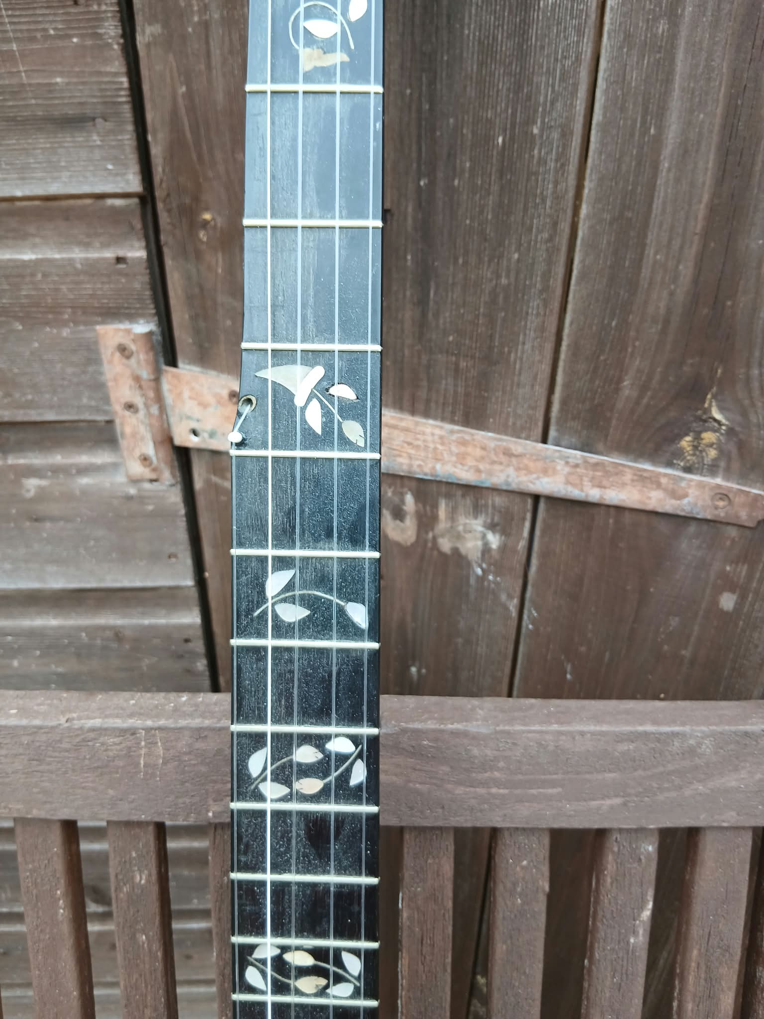 Walter Taylor Liverpool 5‑String Banjo
