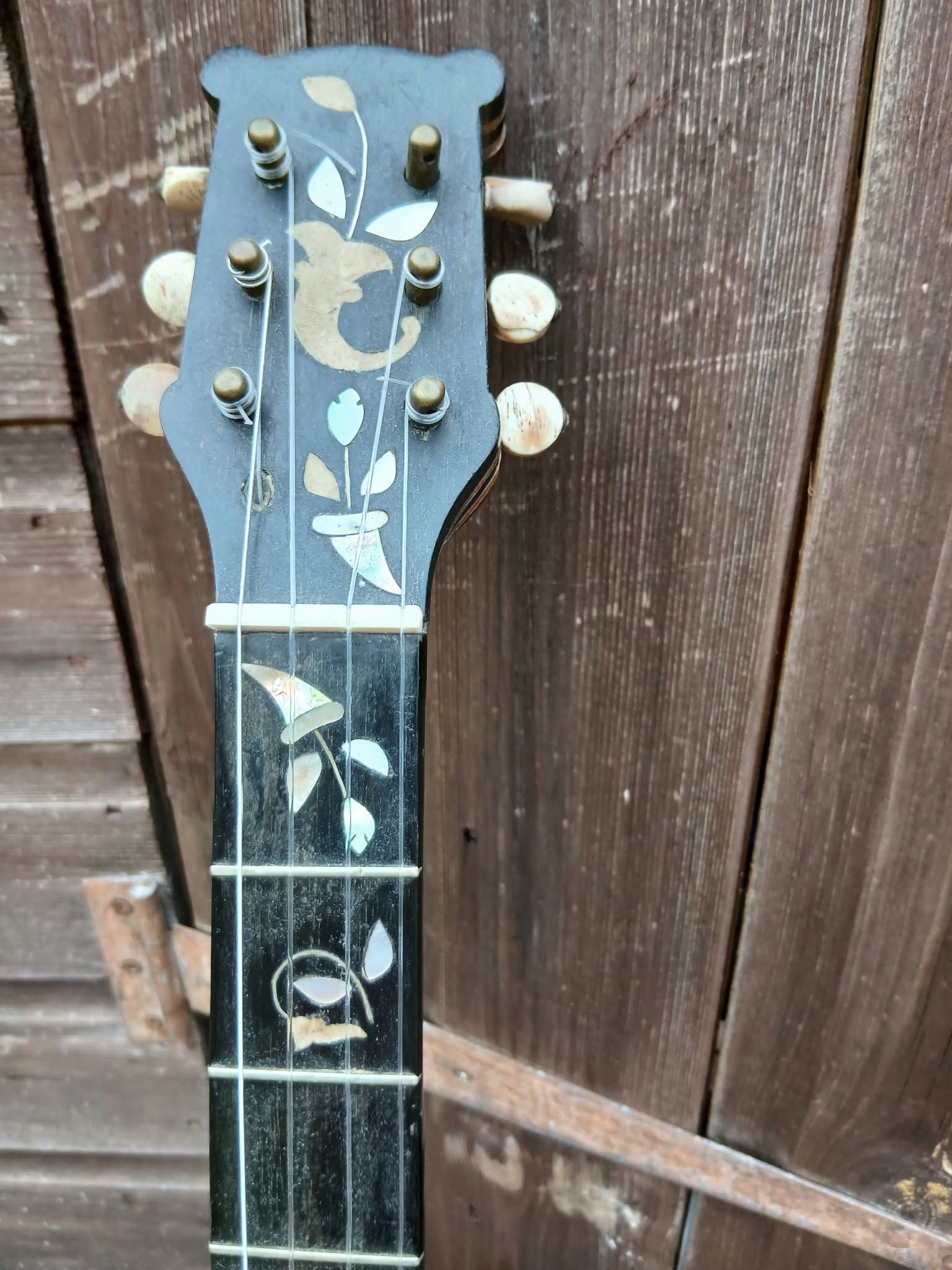 Walter Taylor Liverpool 5‑String Banjo