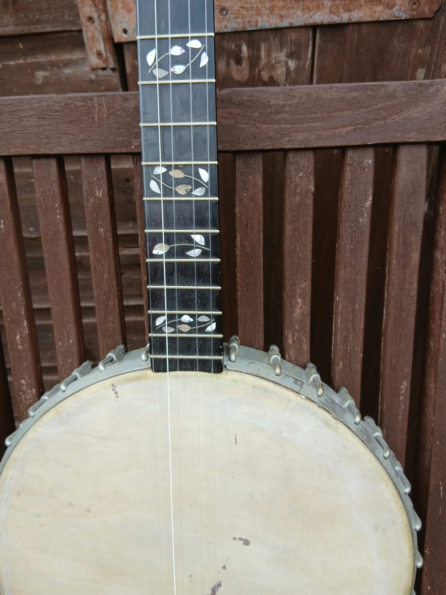 Walter Taylor Liverpool 5‑String Banjo