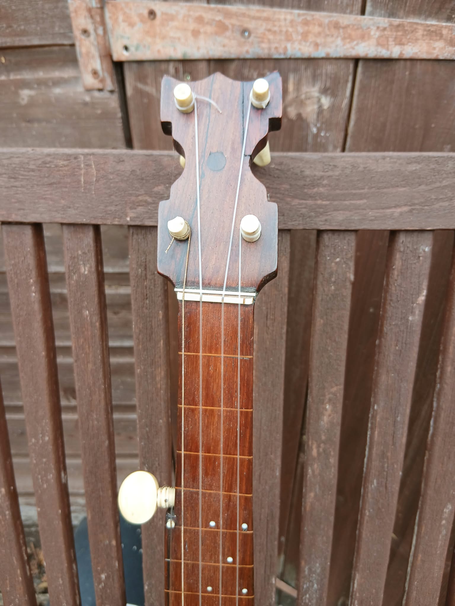 J. Daniels Piccolo Banjo